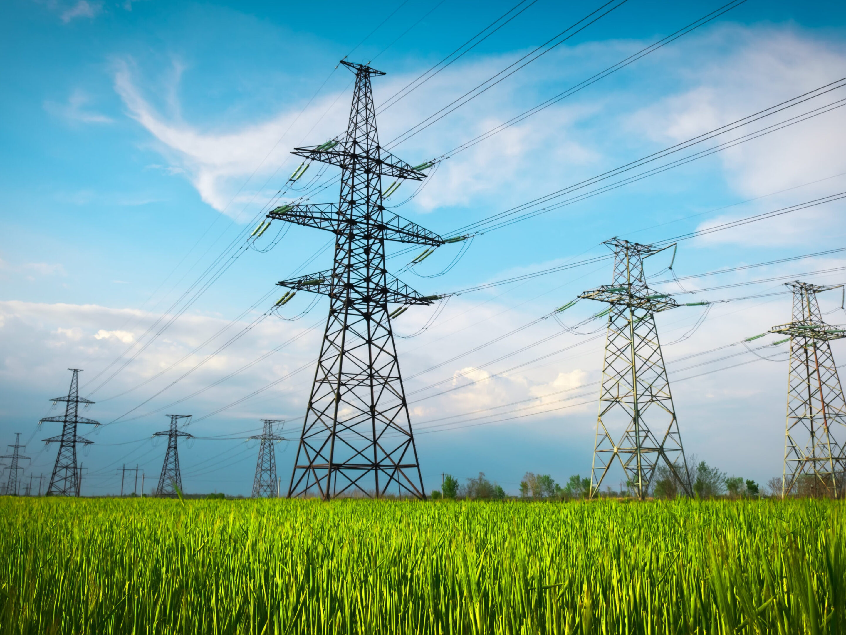 High voltage lines and power pylons in a flat and green agricultural landscape on a sunny day with clouds in the blue sky.