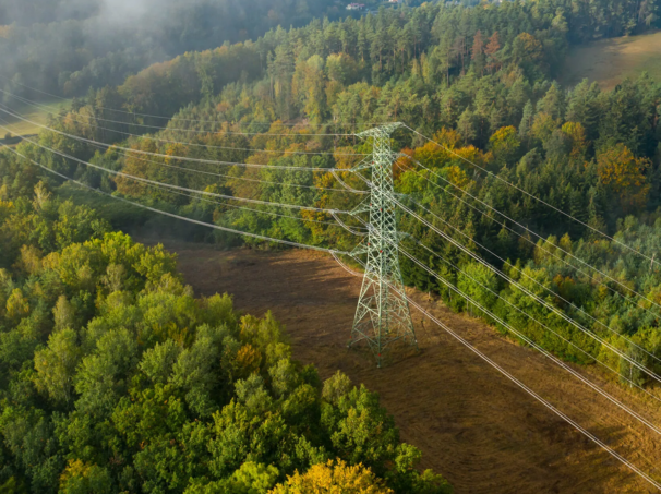Transmission lines in the forest