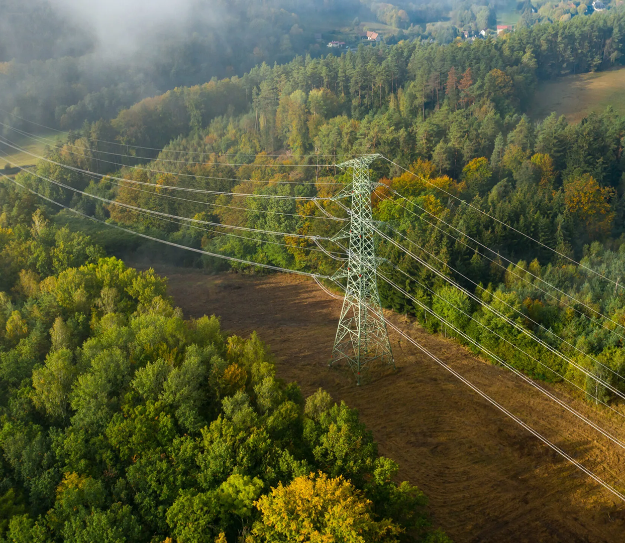 Transmission lines in the forest