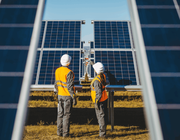 Two field workers pointing to a solar panel at a solar farm.