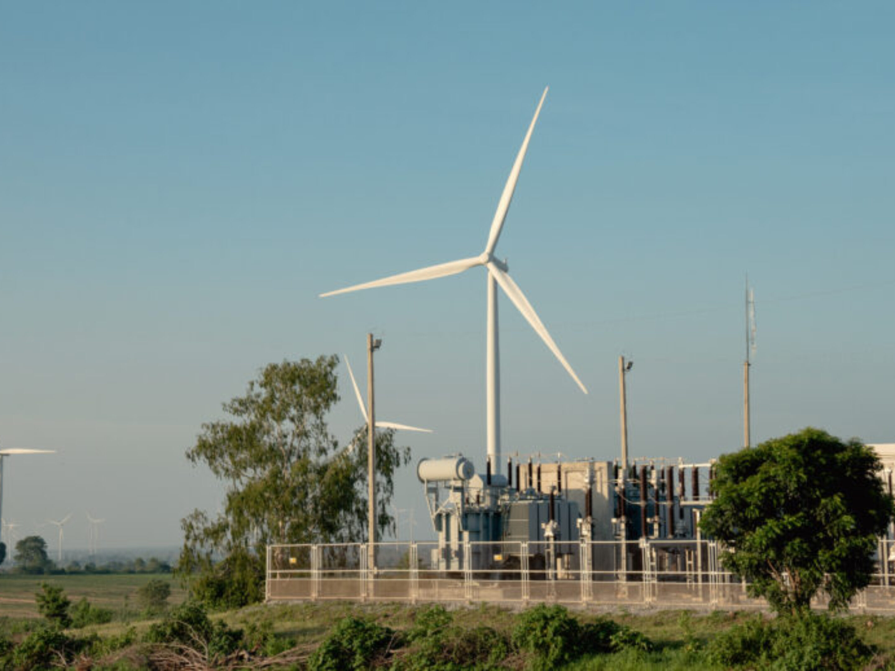 Wind renewable energy source with greenery.