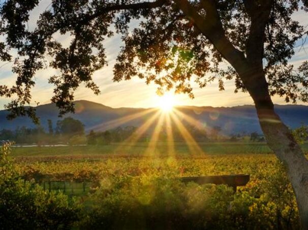 California sunrise scenery